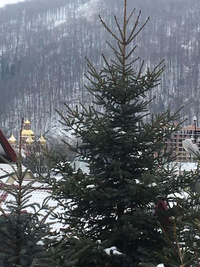 Лоджи Фрай Яремче-24
